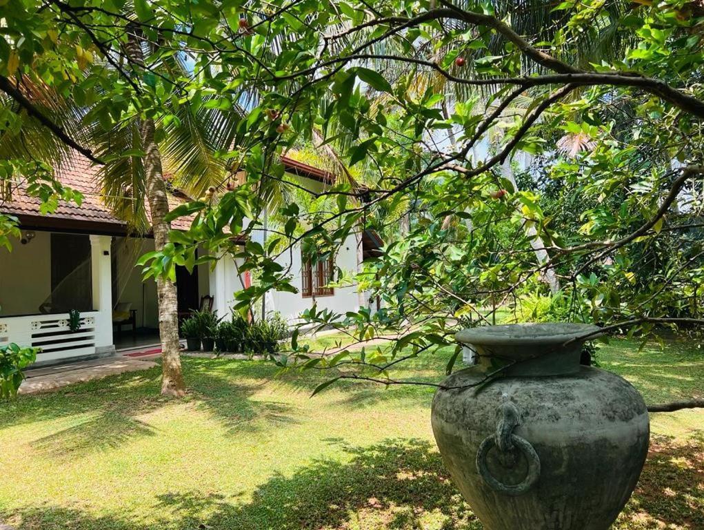 Krishan Ferienhaus