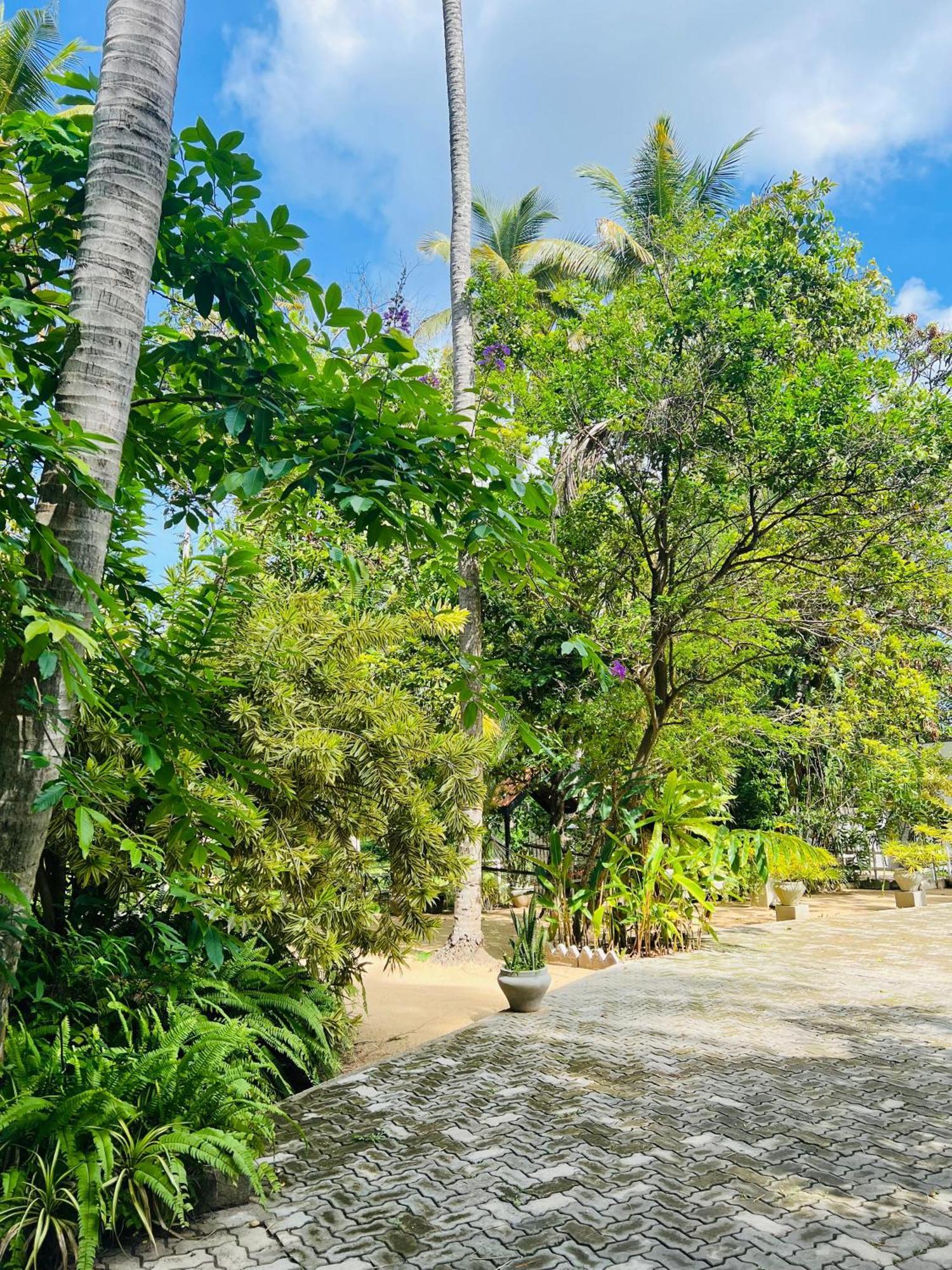 Krishan * Negombo
